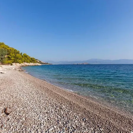 Elegance Villa: Classy Paradise W/ A Private *